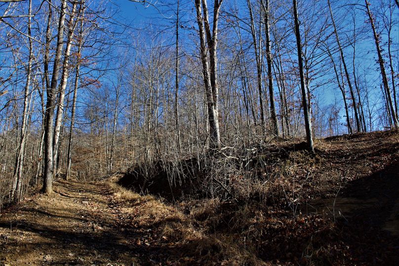 008 well maintained internal road system