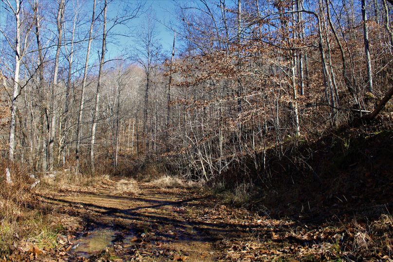 009 another preview of the internal road network