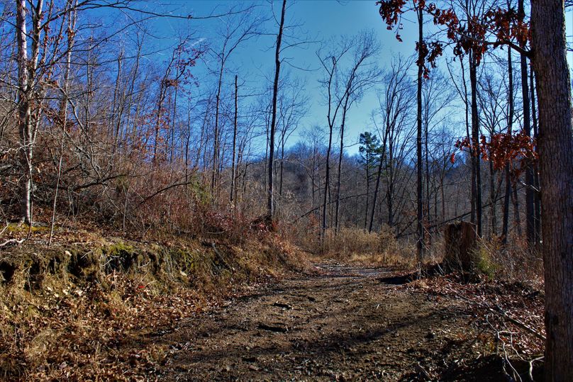 011 multiple cabin opportunities