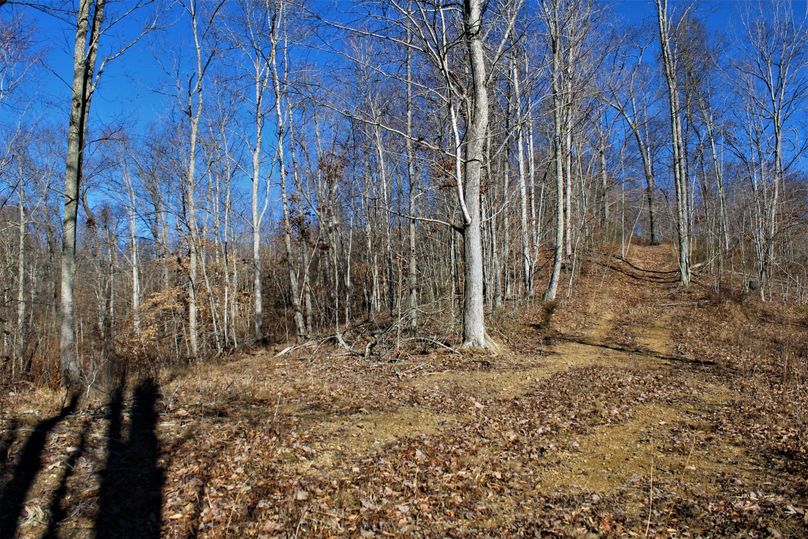 012 gorgeous blue skies on a cool winter afternoon