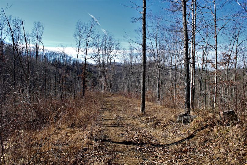 017 beautiful flats along the ridgetop looking back towards the valley