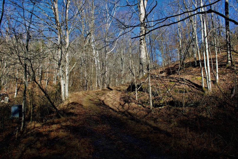 014 entrance road off the county gravel road
