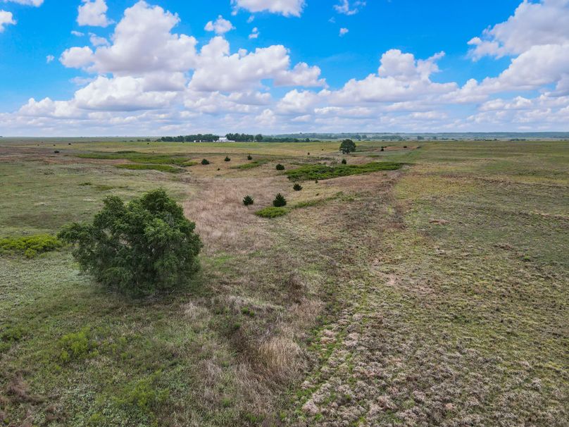 Comanche320_062 copy