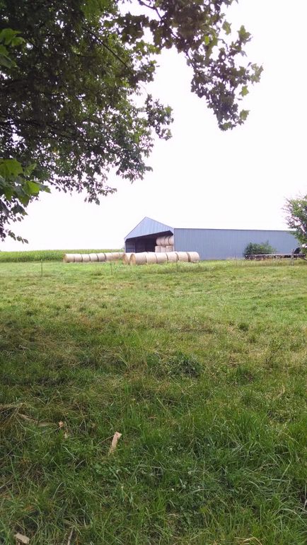 Img 20140706 133634897