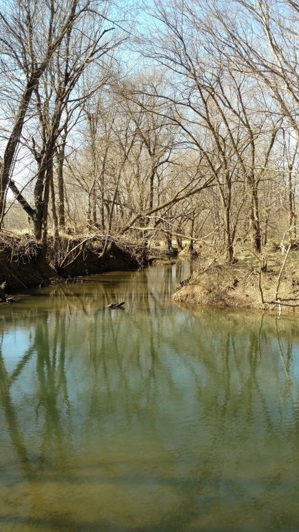 Img 20160227 115512227-1