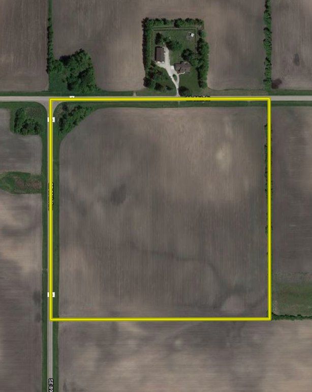 Screen shot 2021-02-08 at 7.41.58 pm