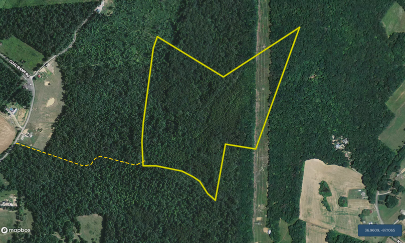 Screen shot 2021-01-08 at 11.09.39 pm