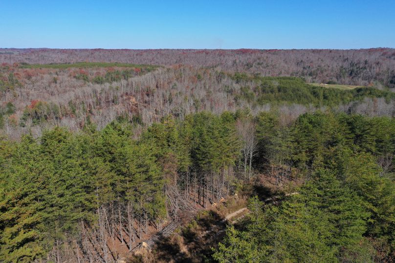 007 aerial drone shot from the east edge of the property looking northeast