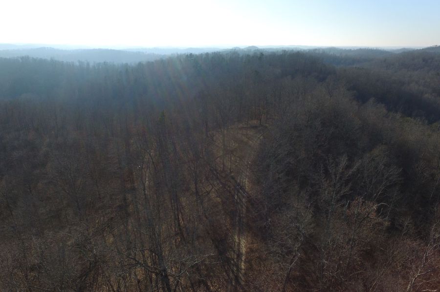 DJI_008