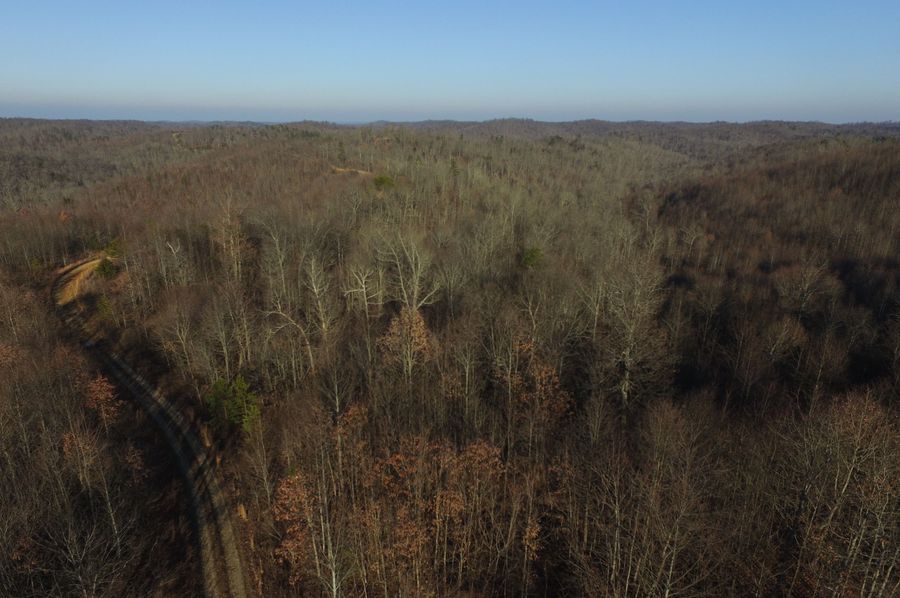 DJI_005
