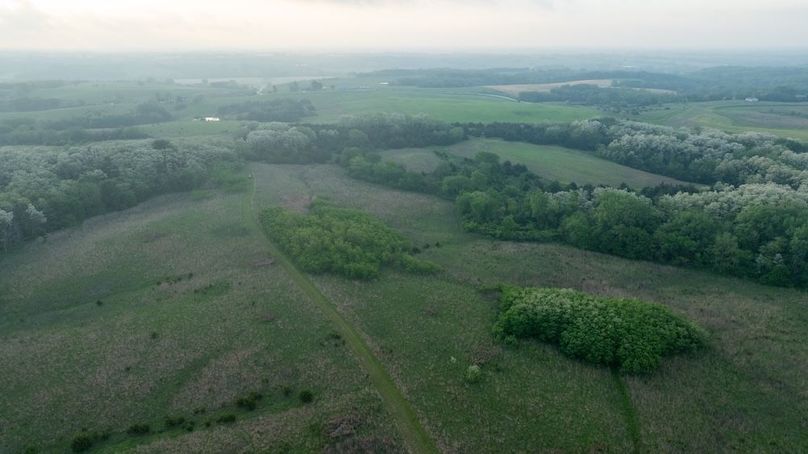 DJI_0272