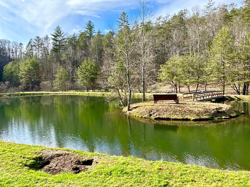 IMG_010 Bridge over Community Pond
