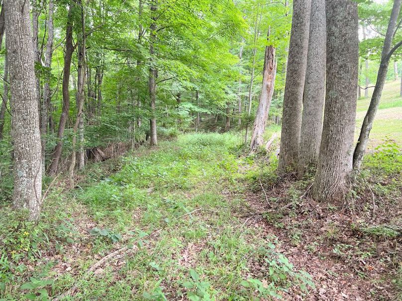 Braxton, WV 46 AC Cooper-71