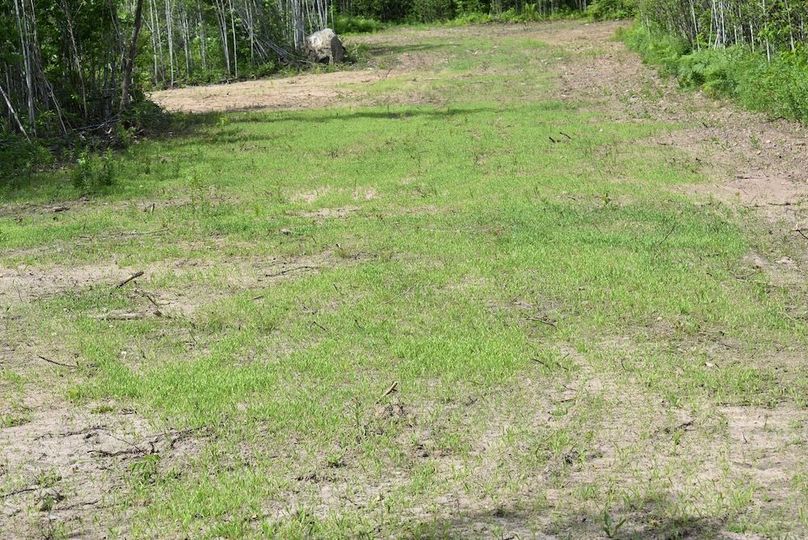 9- early results on the food plot