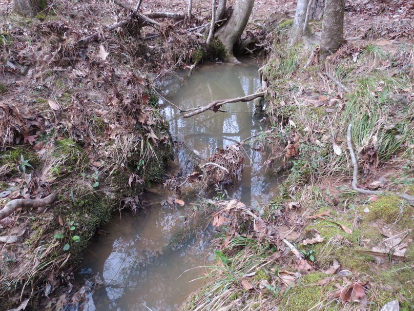 D45D0D00-AC8C-4359-B8E9-1DD273A5E572