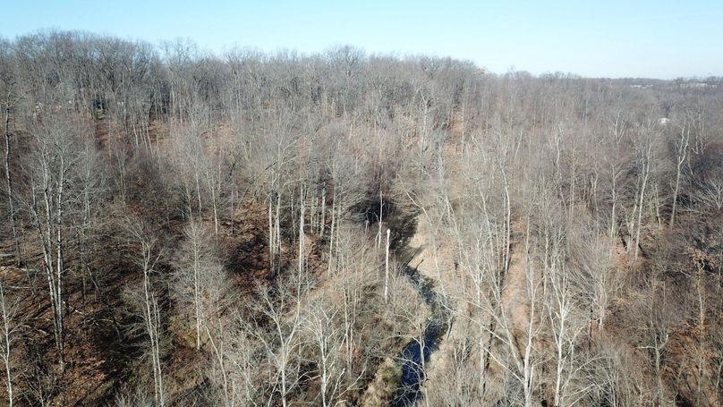 org_271d58b454f97fcc_1702660192000