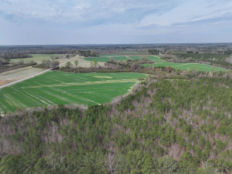 DJI_20260303063900_0557_D