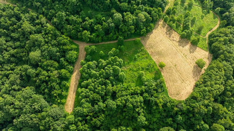 Lewis WV 150 Featured_ProPhoto-115