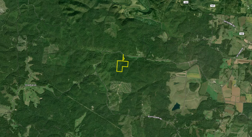 Screenshot 2024-08-13 at 9.58.57 AM