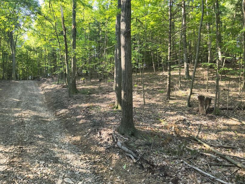 DJI_20240521083637_0023_V