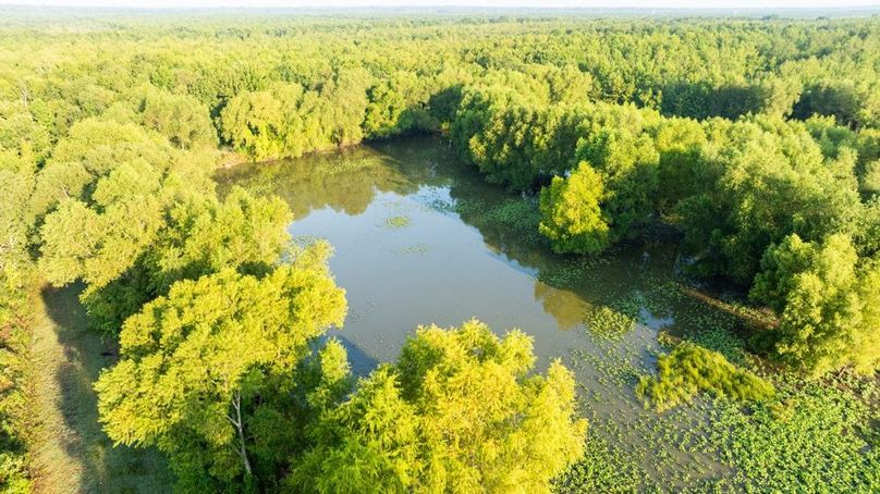 MadisonParLa1372-077