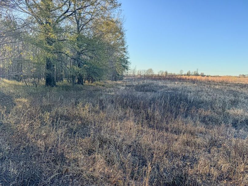 St. Francis 216.9 Calvin Parker Farms Profile -40