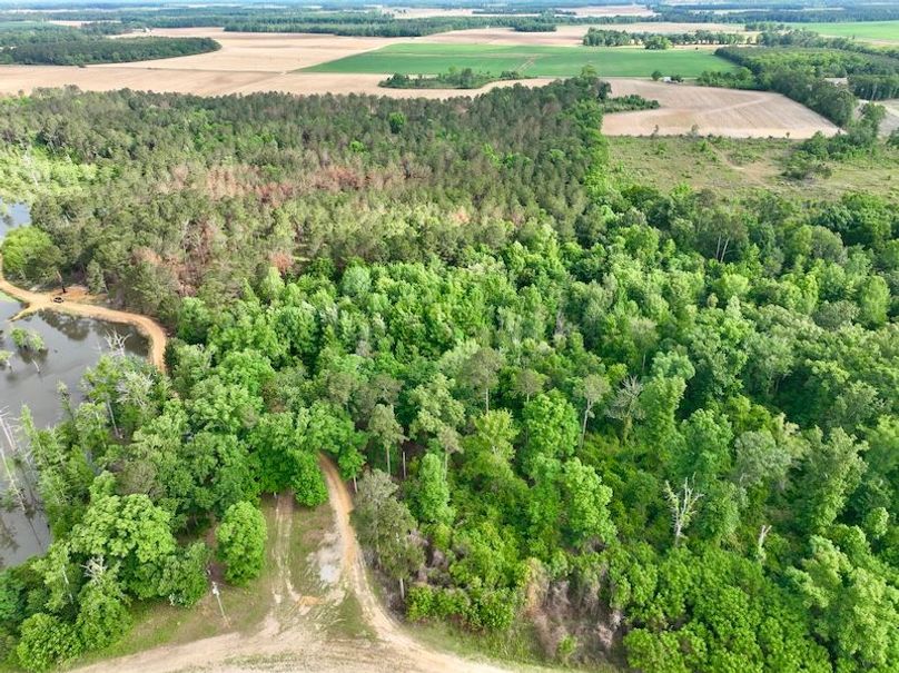 dji_fly_20260427_094252_579_1777300007948_photo