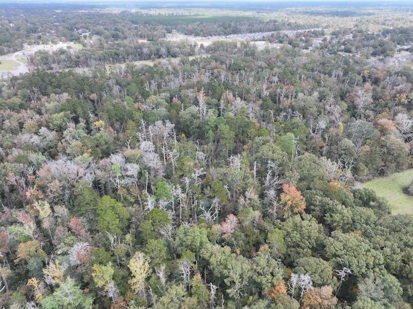 dji_fly_20251118_121142_0721_1763560721221_photo