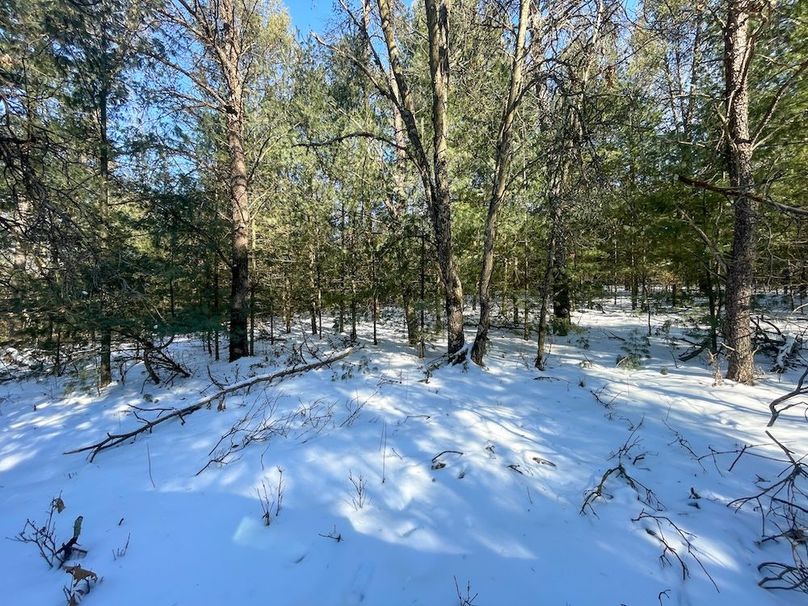 Adams 25, Nessler -32