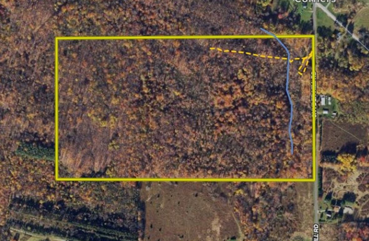 Land ID wetlands