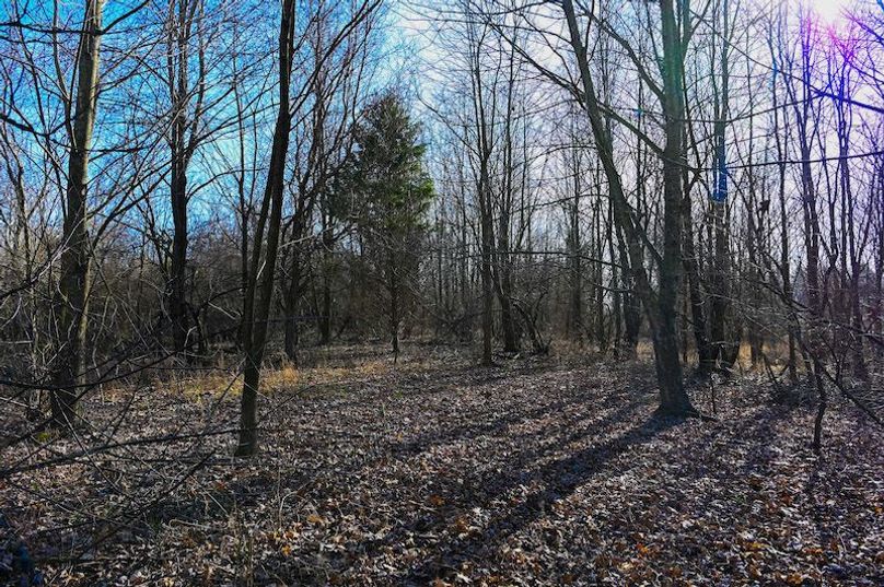 vandalia 450 (2)-1714