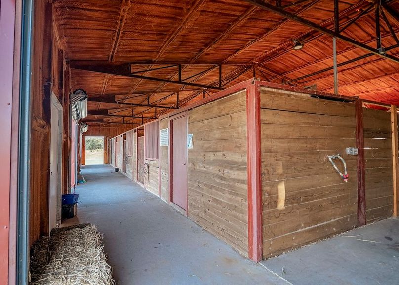 Grayson County- Petska Ranch Final (40 of 64)