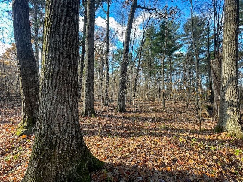 Portage 150.81 JMJK Prop-57