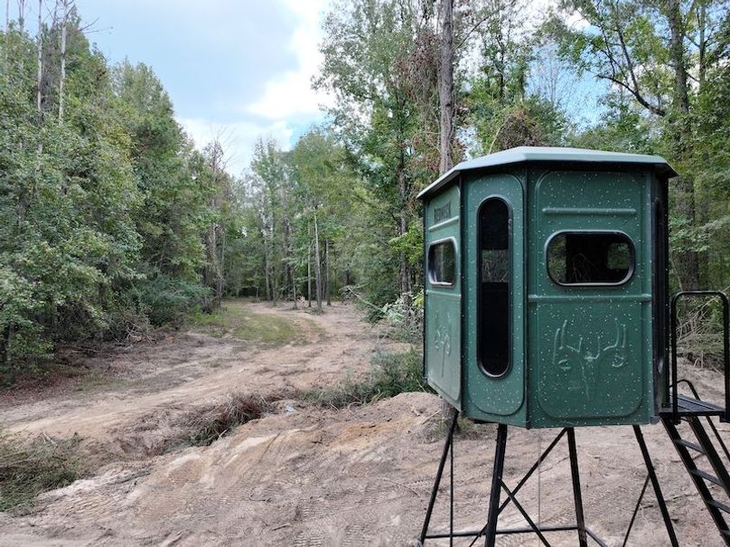 dji_fly_20251001_154644_0641_1759492682322_photo