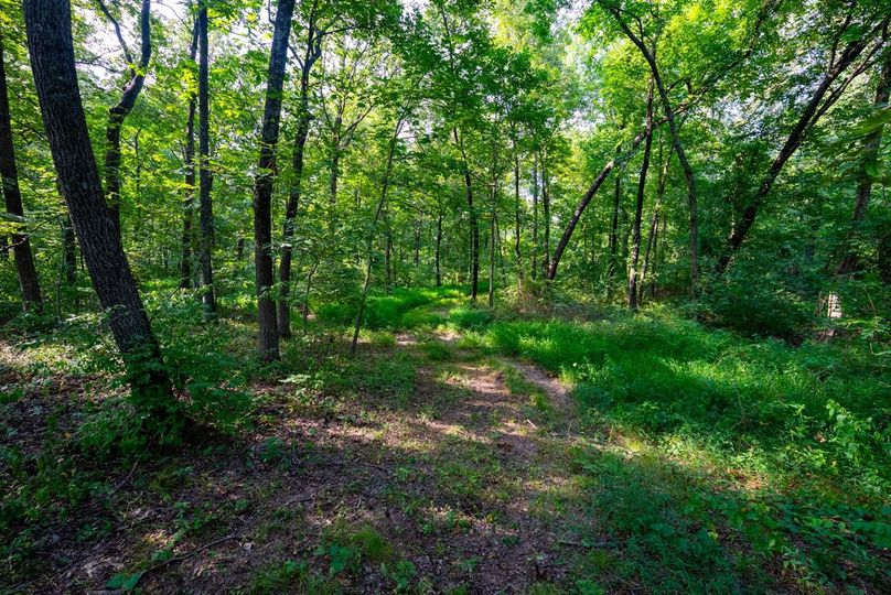 Copy of DSC06209 Large