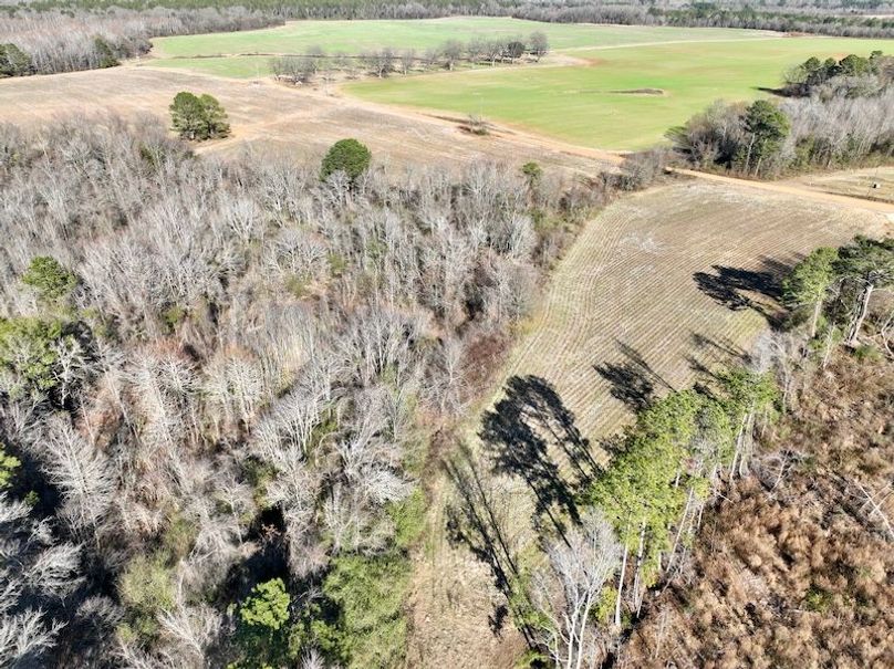 dji_fly_20260115_144204_134_1768507038594_photo