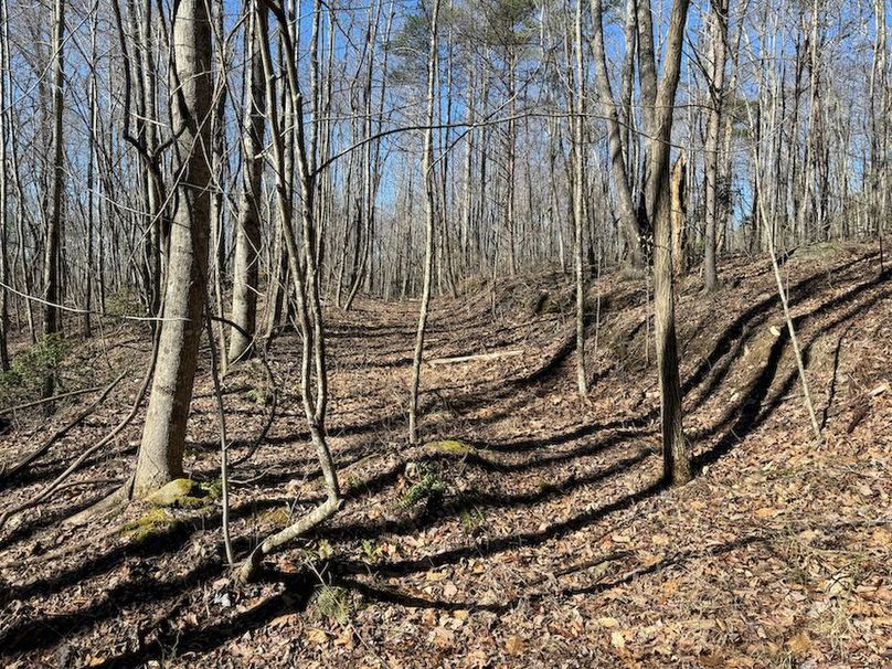 Cherokee 118.85 Harris Top-15