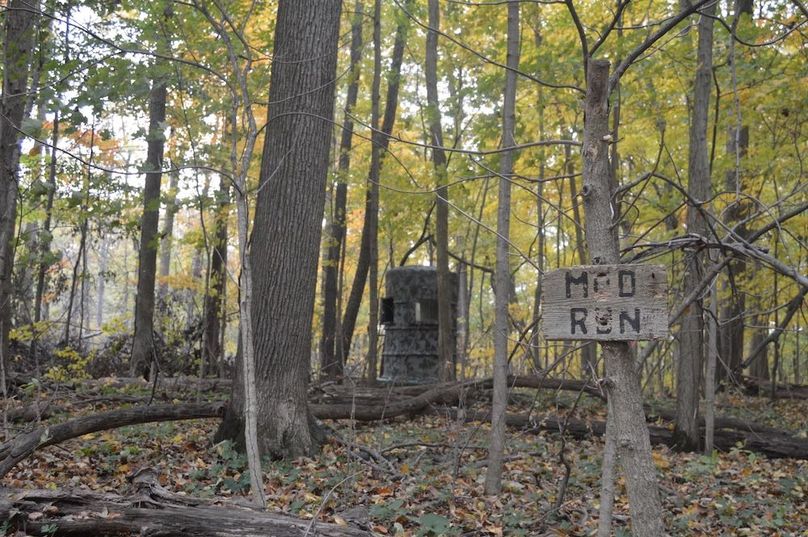 view from trail access