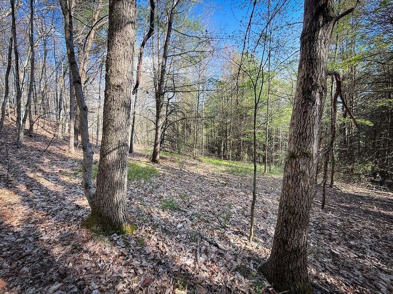 Chemung_59.8_Currier_photos_26