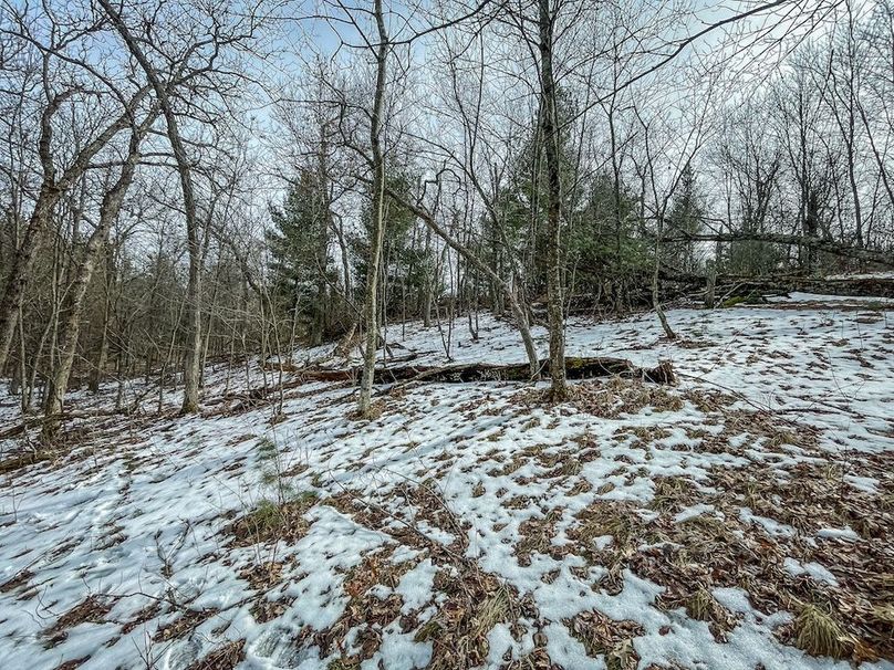 Adams 10.06 Johnson-38