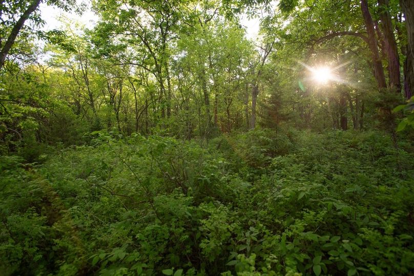 PAGE CO IA 130+_-_28