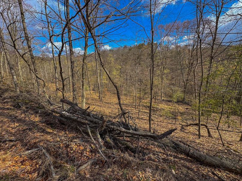 Wirt, WV 156.941 AC Full-18