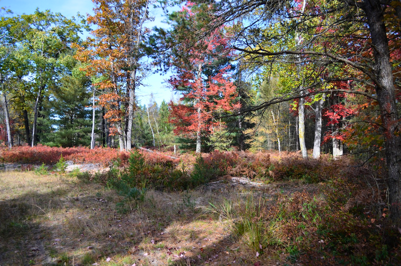 Screenshot 2025-11-14 at 11.23.54 AM