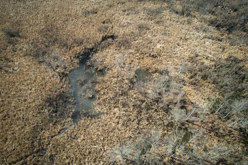 Oswego_165.52_Lashomb_Photos_29