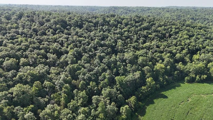 DJI_20250712102355_0776_D