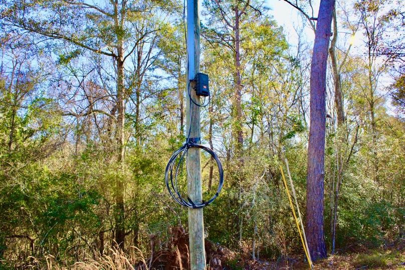 30796C41-4349-452D-9FB4-97E955E22895_1_201_a-2