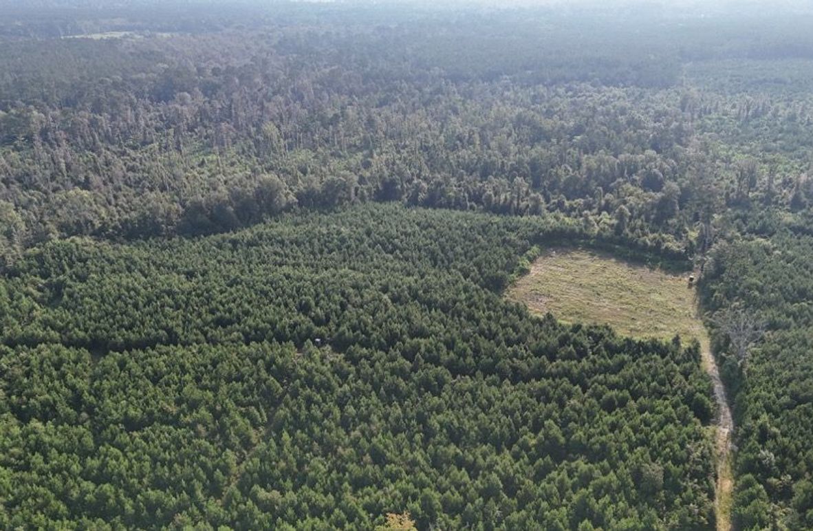 dji_fly_20250903_215758_0011_1756926962508_photo