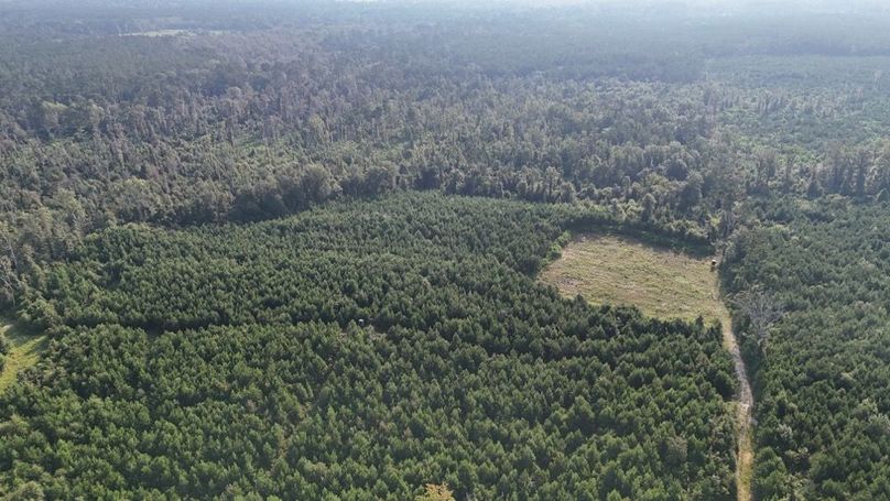 dji_fly_20250903_215758_0011_1756926962508_photo