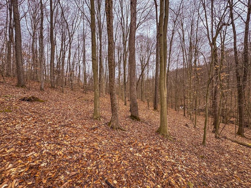 Tyler, WV 90 AC Burkhart-29