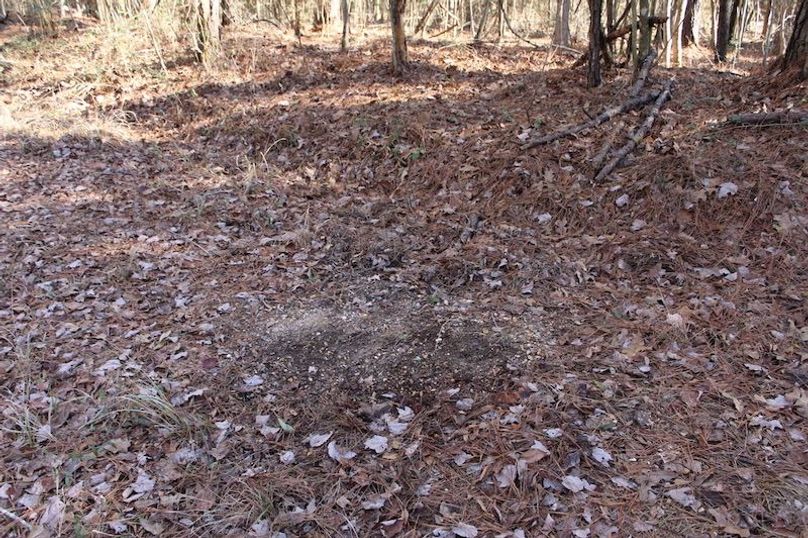 02397720-A719-4E57-88A2-8B91B0DC4D81_1_105_c